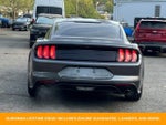 2018 Mustang Thumbnail 7