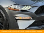 2018 Mustang Thumbnail 11