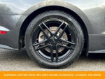 2018 Mustang Thumbnail 12