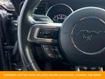 2018 Mustang Thumbnail 23