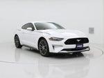 2019 Mustang Thumbnail 1