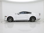 2019 Mustang Thumbnail 3