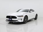 2019 Mustang Thumbnail 4