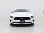 2019 Mustang Thumbnail 5