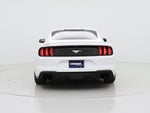 2019 Mustang Thumbnail 6