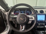 2019 Mustang Thumbnail 10
