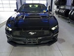 2019 Mustang Thumbnail 22
