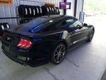 2019 Mustang Thumbnail 24
