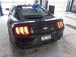 2019 Mustang Thumbnail 25