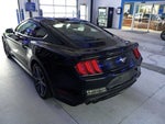2019 Mustang Thumbnail 27
