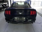 2019 Mustang Thumbnail 28