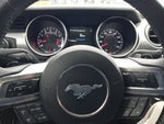 2019 Mustang Thumbnail 29