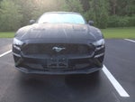2019 Mustang Thumbnail 38