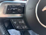 2019 Mustang Thumbnail 21