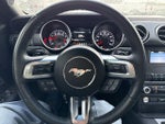2019 Mustang Thumbnail 22