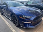 2019 Mustang Thumbnail 2