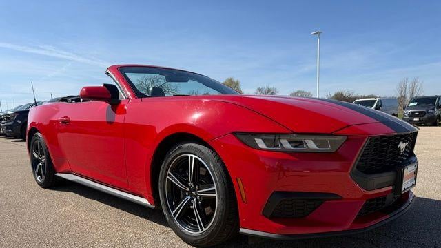 Preowned 2019 Ford Mustang EcoBoost for Sale