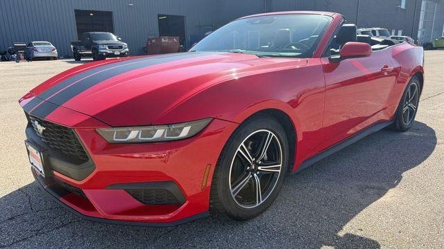 2019 Ford Mustang EcoBoost