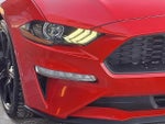 2019 Mustang Thumbnail 22