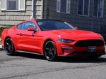 2020 Mustang Thumbnail 2
