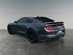 2020 Mustang Thumbnail 6