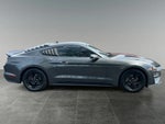 2020 Mustang Thumbnail 8