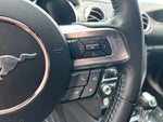 2020 Mustang Thumbnail 13
