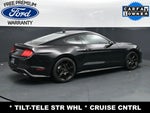 2020 Mustang Thumbnail 9