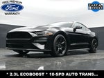 2020 Mustang Thumbnail 19