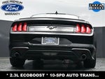 2020 Mustang Thumbnail 22