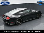 2020 Mustang Thumbnail 28