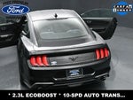 2020 Mustang Thumbnail 31