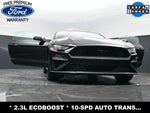 2020 Mustang Thumbnail 35
