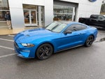 2021 Mustang Thumbnail 2