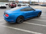2021 Mustang Thumbnail 4