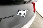 2022 Mustang Thumbnail 14