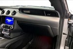2022 Mustang Thumbnail 16