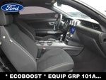 2022 Mustang Thumbnail 13