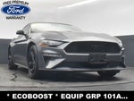 2022 Mustang Thumbnail 19