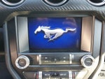 2023 Mustang Thumbnail 14