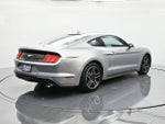 2023 Mustang Thumbnail 5