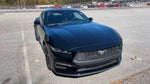 2024 Mustang Thumbnail 19