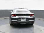 2024 Mustang Thumbnail 8