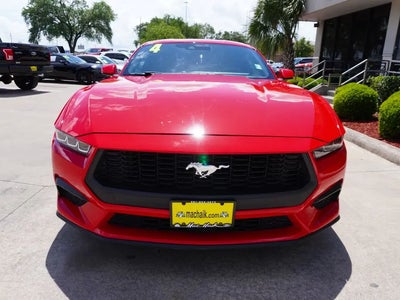2024 Ford Mustang Ecoboost Premium 2DR Fastback