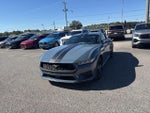 2024 Mustang Thumbnail 4