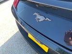 2024 Mustang Thumbnail 7