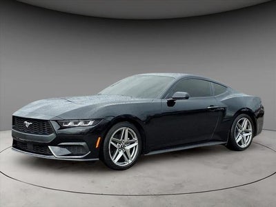 2024 Ford Mustang Ecoboost 2DR Fastback