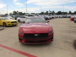 2024 Mustang Thumbnail 5