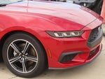 2024 Mustang Thumbnail 6