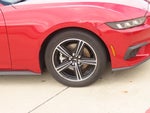 2024 Mustang Thumbnail 9